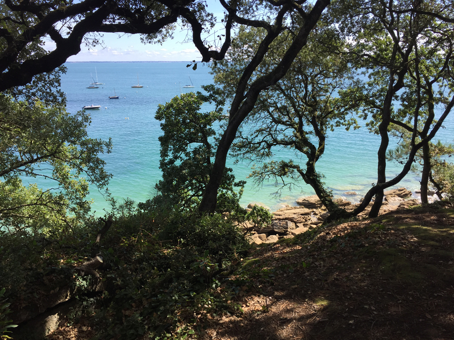 plage de l anse rouge